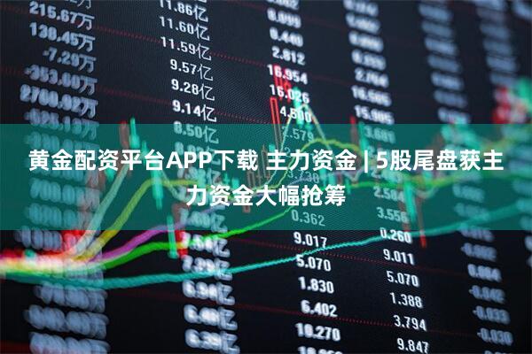 黄金配资平台APP下载 主力资金 | 5股尾盘获主力资金大幅抢筹