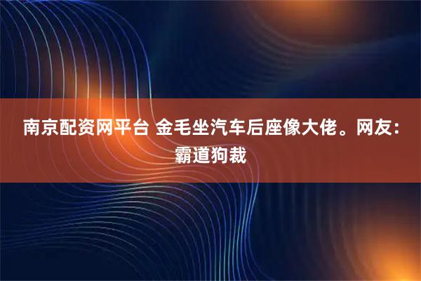 南京配资网平台 金毛坐汽车后座像大佬。网友：霸道狗裁