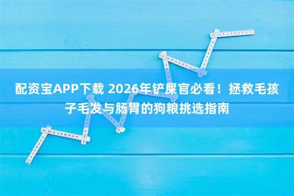 配资宝APP下载 2026年铲屎官必看！拯救毛孩子毛发与肠胃的狗粮挑选指南
