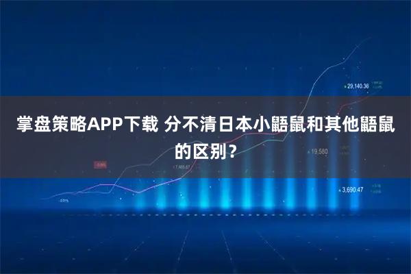 掌盘策略APP下载 分不清日本小鼯鼠和其他鼯鼠的区别？